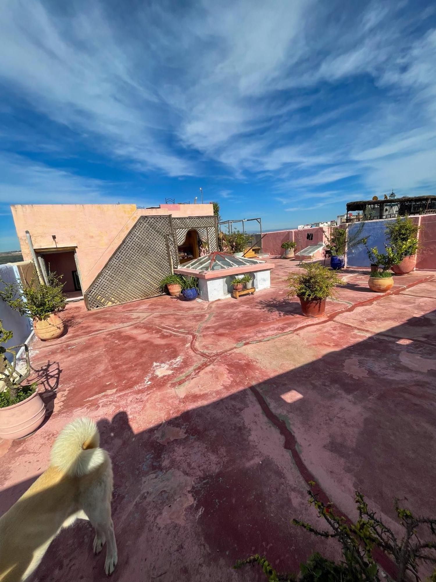 La Maison Haute Larache Morocco Exteriér fotografie